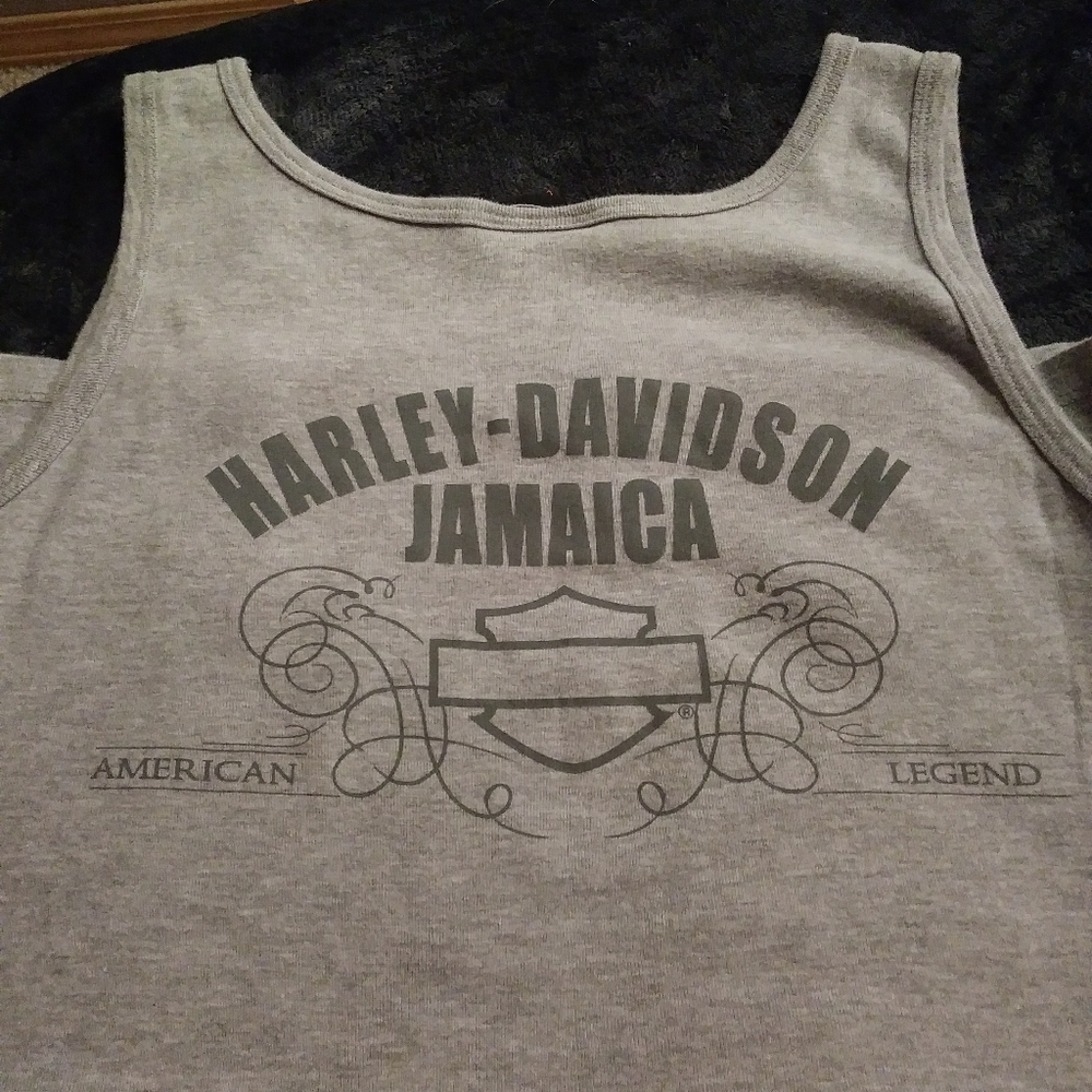 ➡✨Harley Davidson Jamaica tank